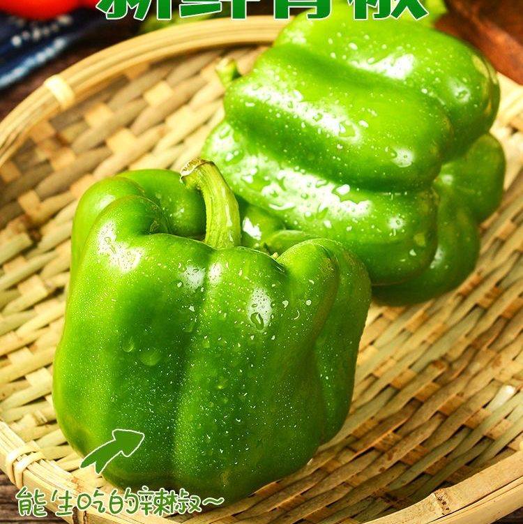 [太空椒批发]山东潍坊寿光市鲜辣椒 1.00元/斤【实力】产地直 _ 一亩田