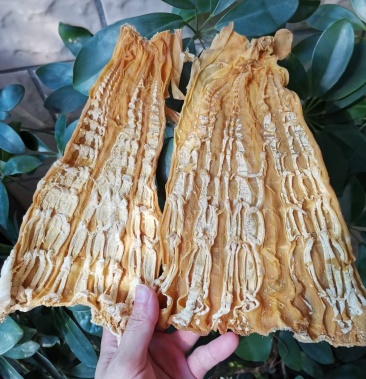 [笋干批发]笋干干货广西桂林恭城特产黄竹笋干嫩笋尖芽笋牙笋片无老根