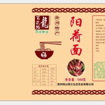 阳荷