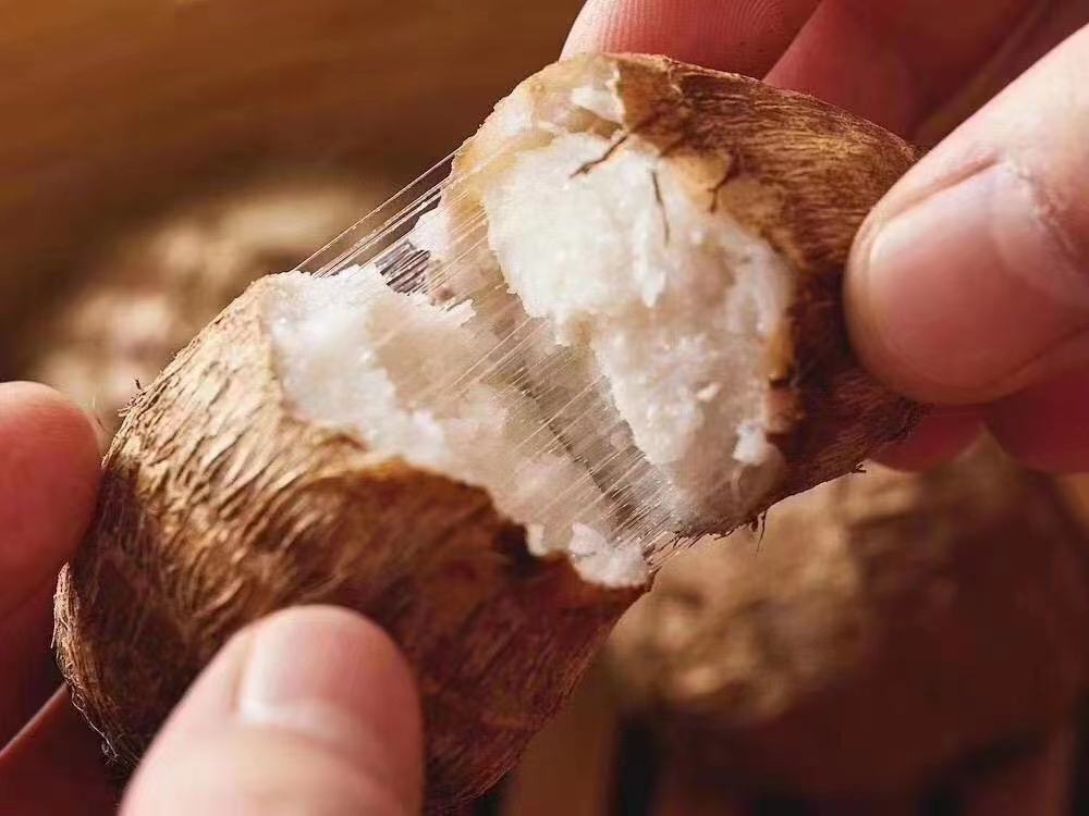 切开后的热腾腾毛芋头