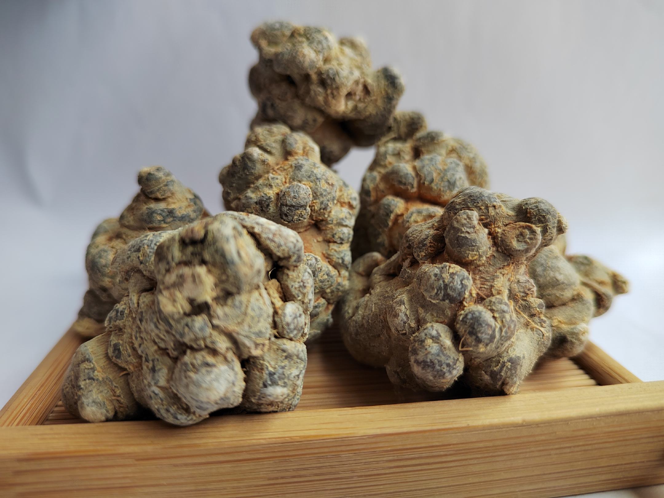 三七不同头数对比图