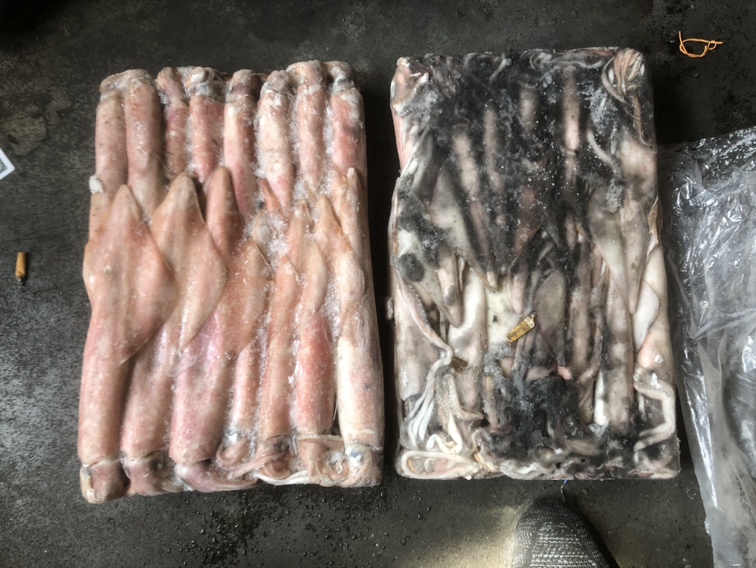超市冷柜中左侧区域陈列去皮鱿鱼圈、整只冷冻鱿鱼,包装标注‘太平洋柔鱼’;右侧区域为真空包装章鱼腿,标签注明‘真章鱼 Octopus vulgaris’,旁边设有科普展板对比两者区别 市售鱿鱼与章鱼产品陈列对比图