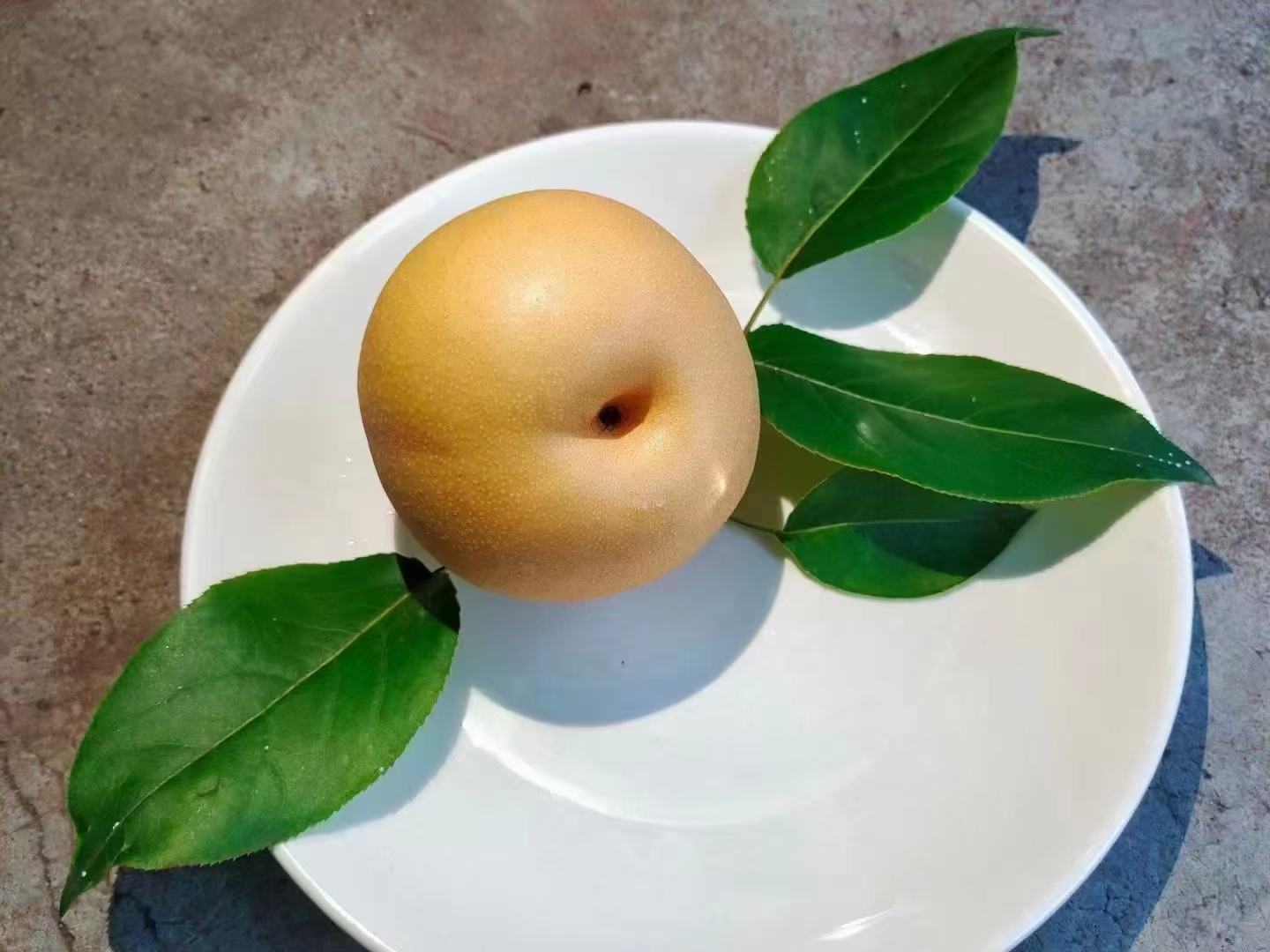 生活化静物构图:粗陶竹篮盛放三枚不同朝向的冬桃,一枚已去皮切块置于青釉瓷盘中,旁边配白瓷小碗盛蜂蜜、陶制茶杯盛温水,背景为暖光木质餐桌与浅灰麻布,整体氛围温馨质朴,强调冬桃作为秋冬健康时令果品的生活融入感 冬桃家庭食用场景:竹篮、瓷盘与手作陶杯