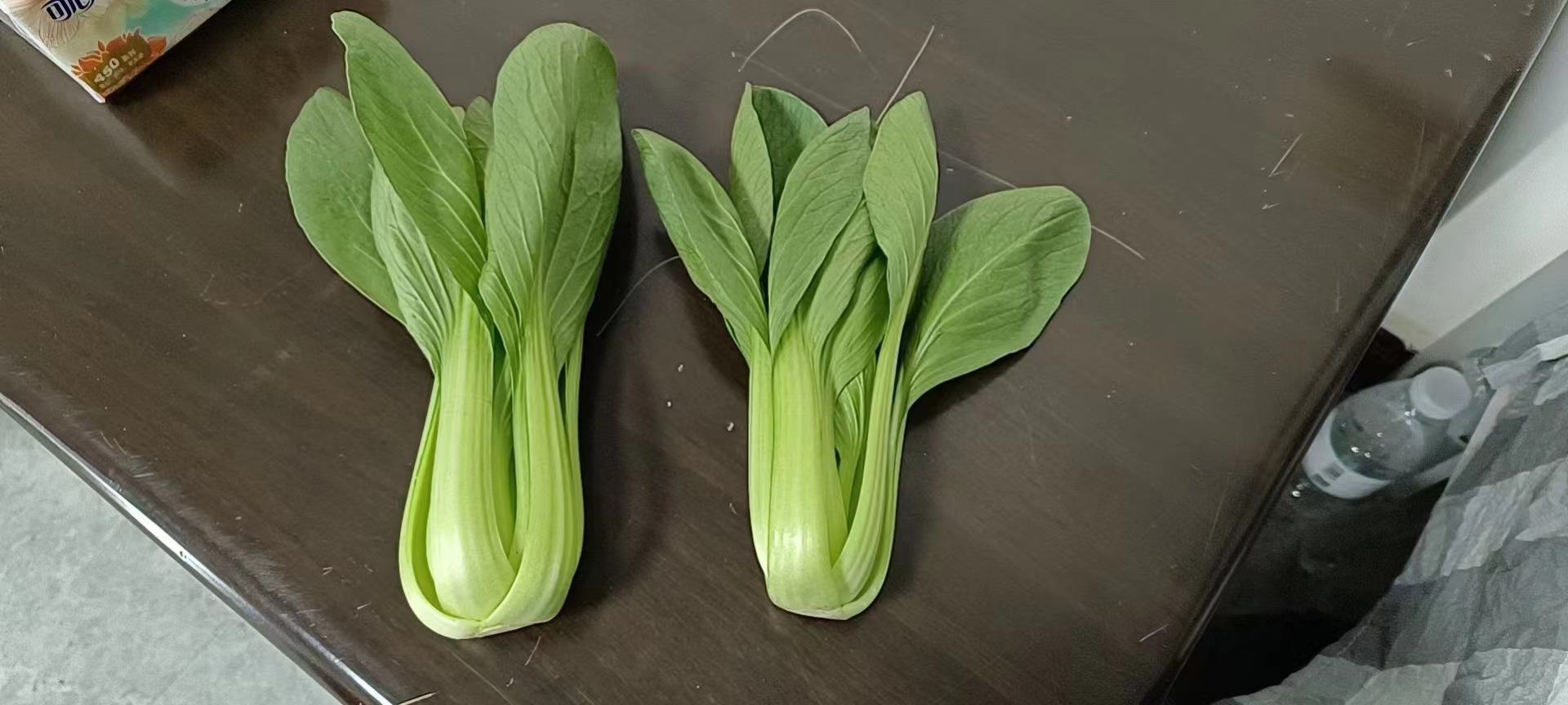 松花菜与青菜拼盘图