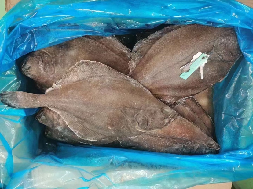 多宝鱼冷冻状态与解冻后的对比