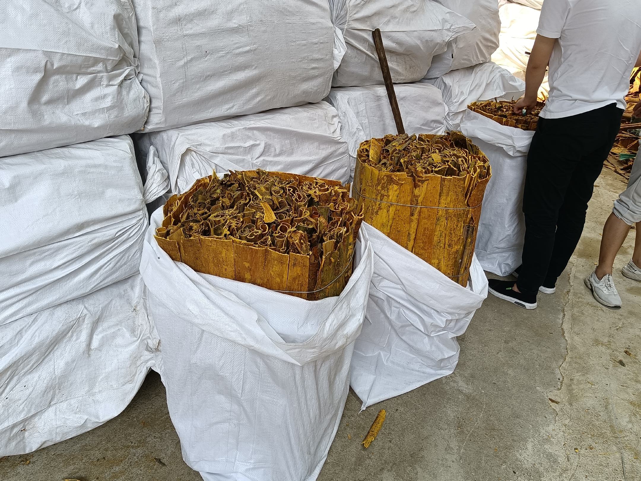 中药房内包装好的柏子仁饮片