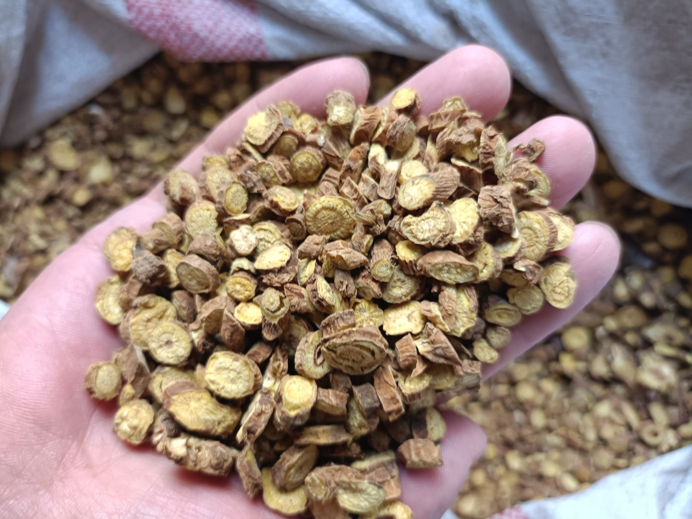 中药师正在称量黄芩药材
