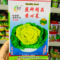 蔬研精品黄心菜种子基地专用特矮棵黄心乌塌菜种子耐寒菜