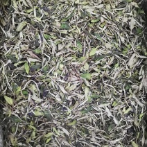 福鼎白茶2022年新茶二级白牡丹散茶新品上市