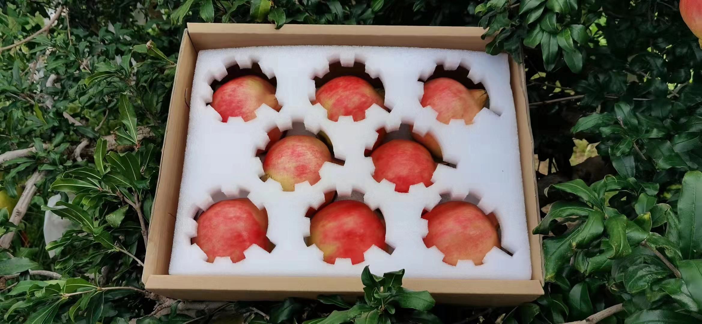 一张木质展台上陈列多种会理石榴衍生产品,包括透明瓶装鲜榨石榴汁、小罐冻干石榴粒、玻璃瓶发酵石榴酒、护肤精华液以及印有‘会理石榴’地理标志的礼盒包装,背景为现代化食品加工厂内部 会理石榴深加工产品展示
