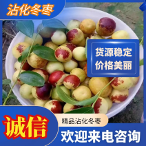 山东沾化精品冬枣产地直发货源充足诚信经营欢迎来电