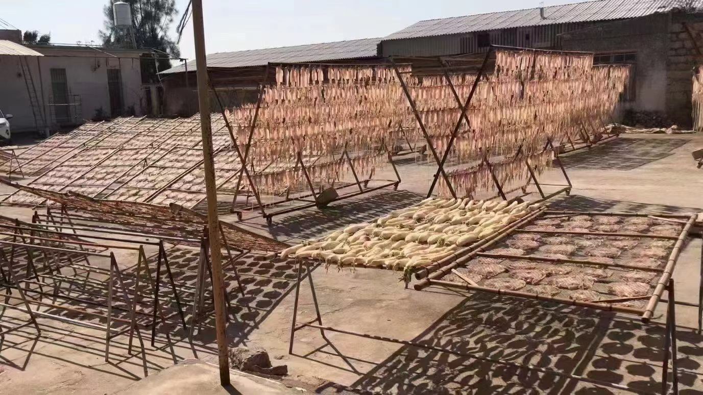 干鱿鱼加工过程