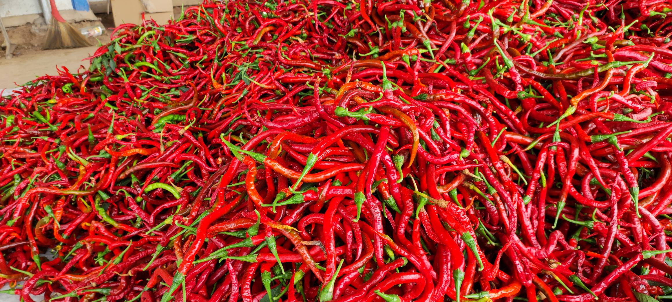 油煎线椒成品图