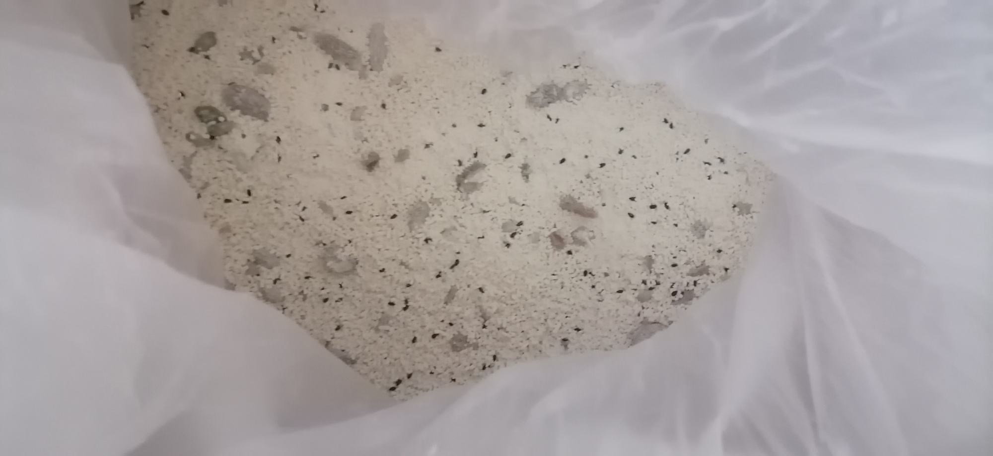红枣藕粉原料对比图