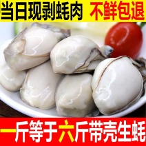 【当天现剥】新鲜生蚝生蚝肉鲜活生蚝去壳当天现剥海蛎子肉牡