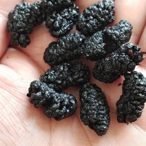 桑椹干桑葚干干净没沙免洗直播团购供应电商批发