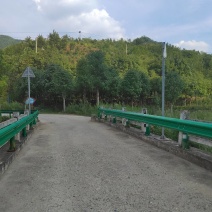 七叶树