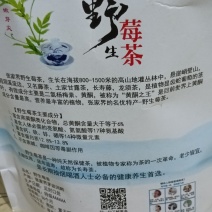 正宗张家界野生莓茶