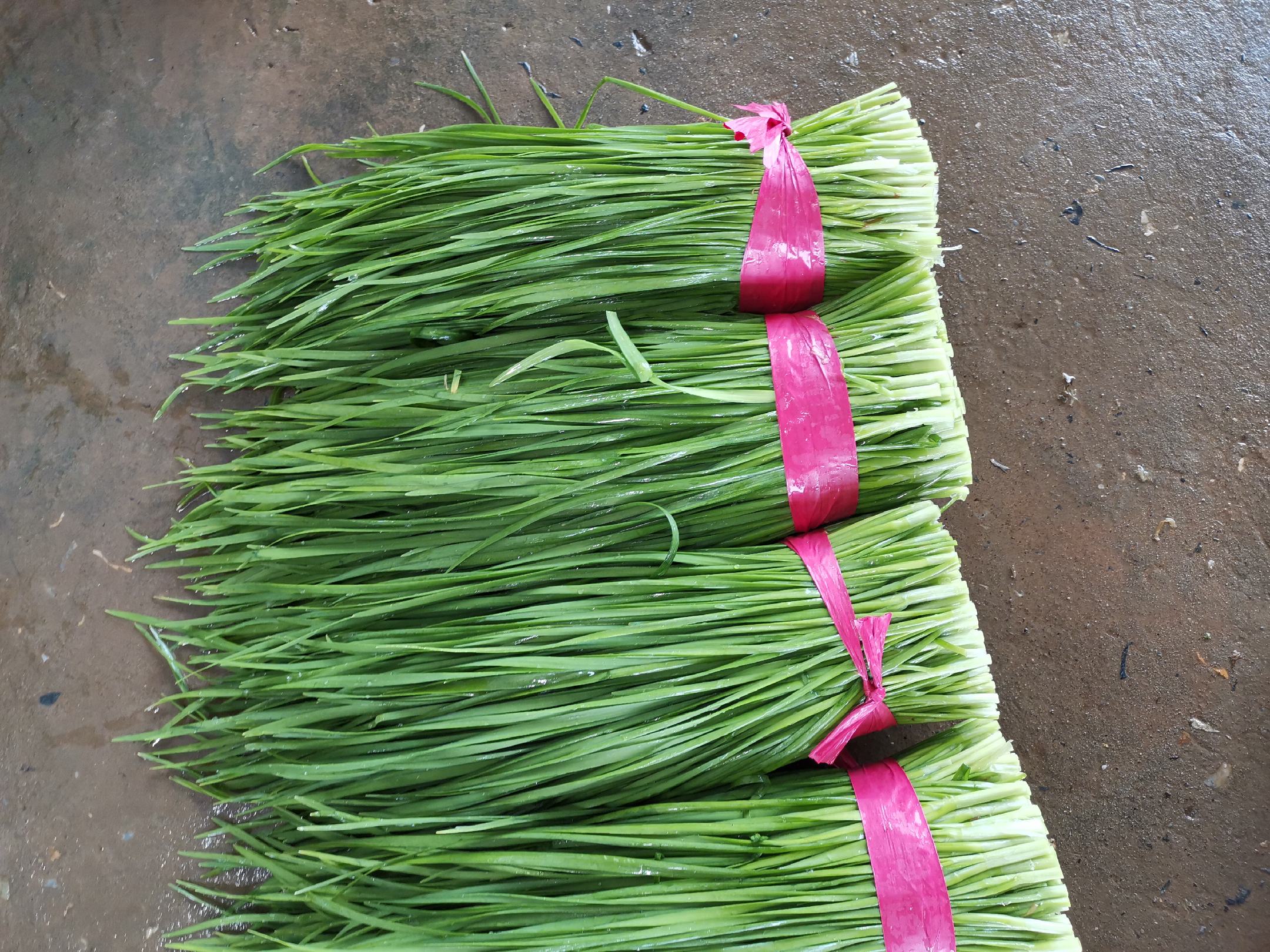 市场摊位上整齐摆放的韭菜束