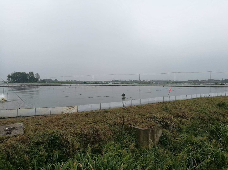 从高空俯瞰一片广阔的湖泊型大闸蟹养殖水域,湖面波光粼粼,网围清晰可见,远处有渔民驾船巡塘,岸边设有标准化管理用房,展现现代化生态养殖场景 大闸蟹养殖水域航拍图
