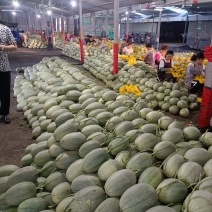 耀珑小蜜25哈蜜瓜晓蜜量大糖度高口感好种植产地诚信代办