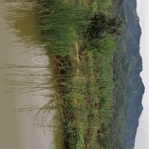 农场一块