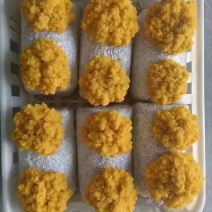 金耳菌包种植