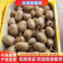 南阳优质猕猴桃种植基地，量大现货，专业代办，诚信为您服务