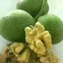 高山青皮核桃，皮薄仁白，口感油香，保质保量，货源充足