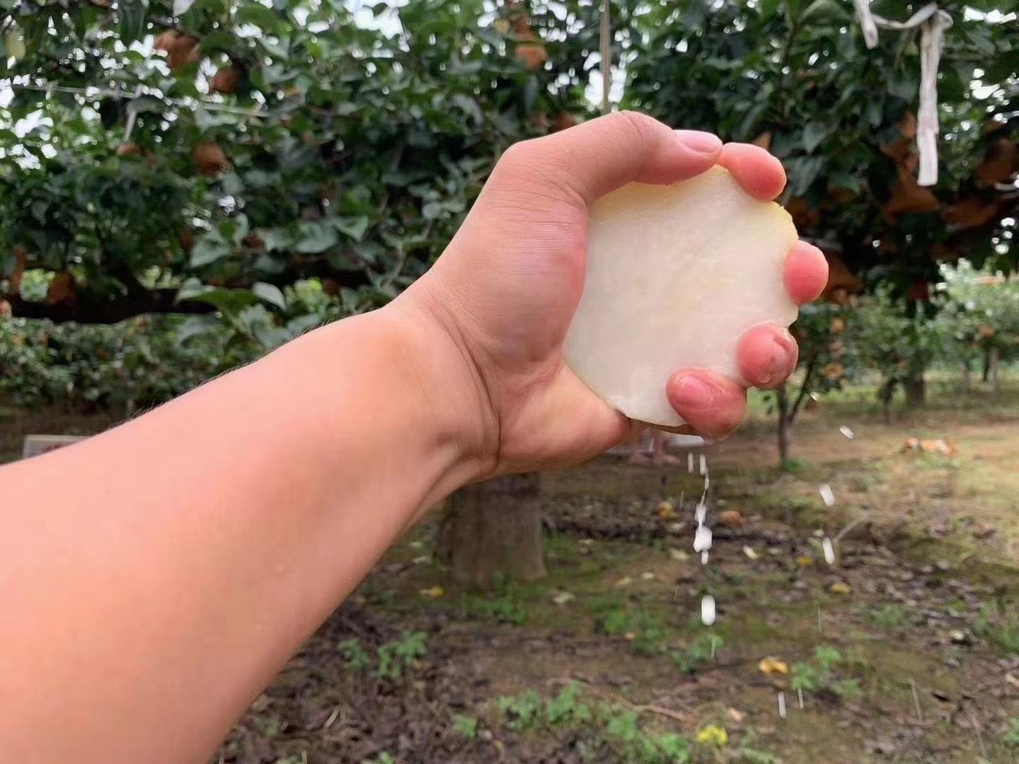 一位农民正在使用传统石磨榨取酸梨汁,梨块放入石磨入口,乳白色果汁从缝隙流出,下方陶碗接汁,背景为农家院落木桌与竹筐盛满酸梨 酸梨榨汁过程