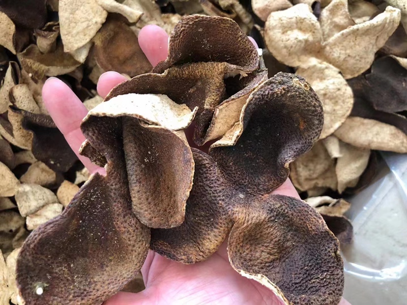 柑橘僵果实物图