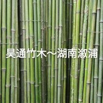 湘西雪峰山菜架竹、小竹竿、竹架条、金竹、白竹
