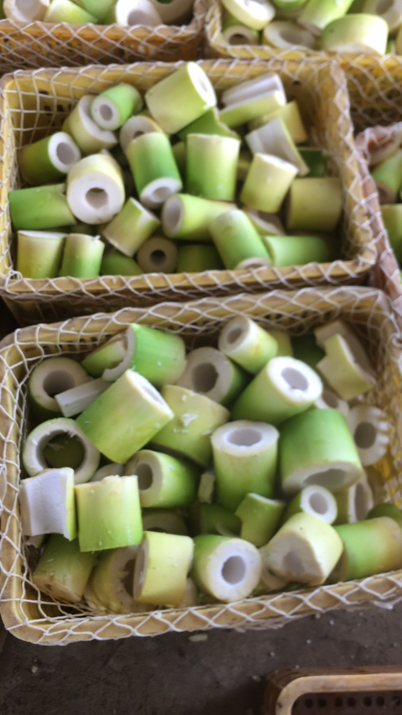 福建漳州长泰区竹笋 1.00元/吨鲜麻笋,麻笋干