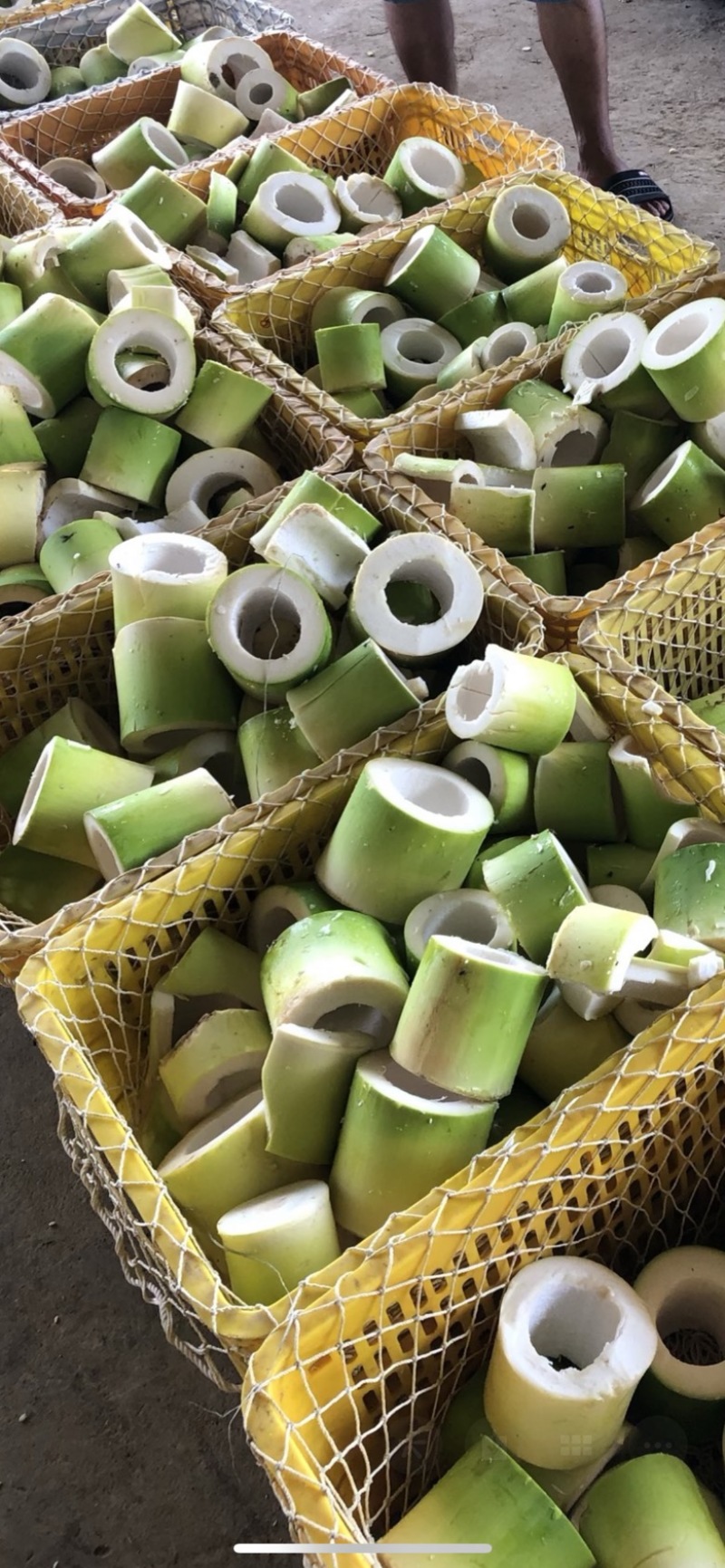 福建漳州长泰区竹笋 1.00元/吨鲜麻笋,麻笋干