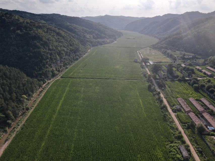 野菜仁青菜种植基地航拍图