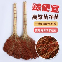 高粱扫把家用室外不沾毛发家清洁工具扫帚苗软毛天然芒草内庭
