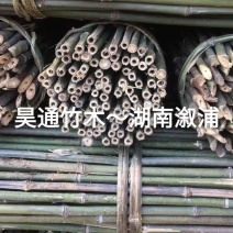2.4米～2.5米菜架竹、小竹竿、竹架条、金竹、铁竹