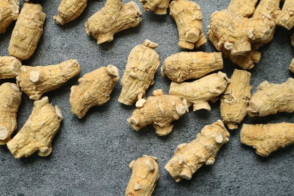 左侧为粗壮条形、表皮淡黄棕色、有横向环纹的生晒参;右侧为较细长、外皮颜色偏浅、质地更轻的西洋参;背景为自然林下环境,配有放大镜显示断面结构差异 生晒参与西洋参对比图示