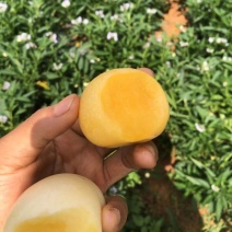 物美价廉