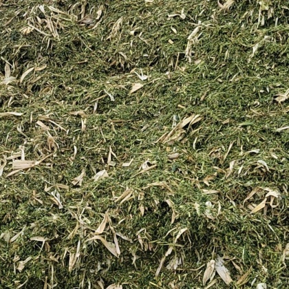 48个月,各种干草一次打包保质保量试试搜这些全珠玉米秸秆青储本公司