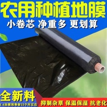 针孔膜源头厂家规格可定制量大优惠拉伸度强透气性好
