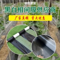 黑白相间地膜，支持定做，源头厂家，增产增收