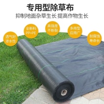 防草布除草布抗老化果园果树遮草盖草布防草布防草布农用园艺