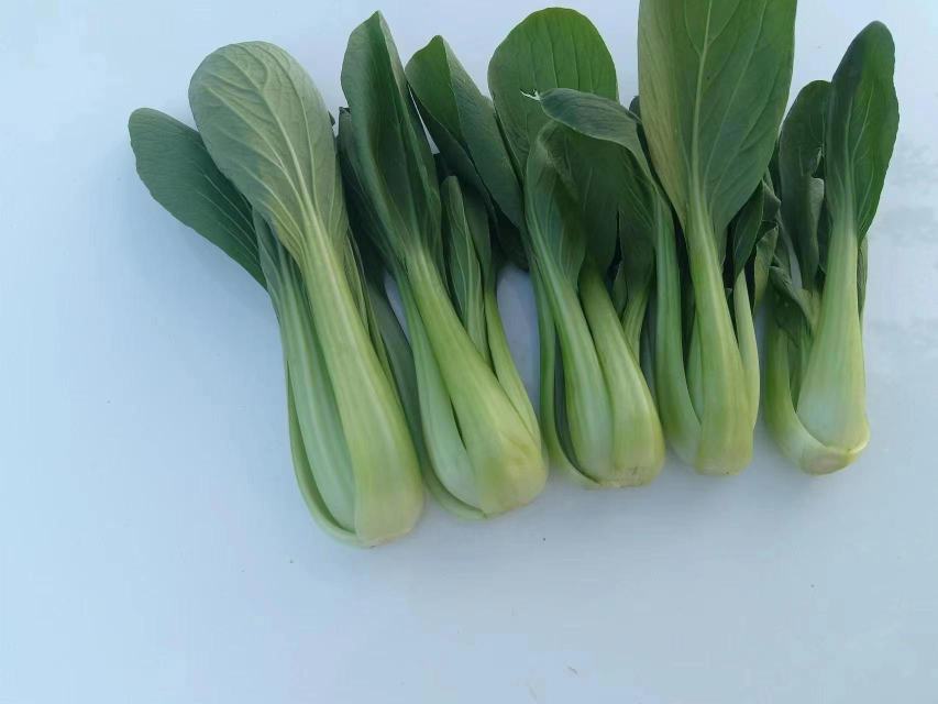 雏菊与其他绿色蔬菜搭配摆盘 雏菊与其他绿色蔬菜搭配摆盘