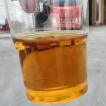 湖北本地菜籽，出油率高，油色金黄，香味浓郁，水分干。