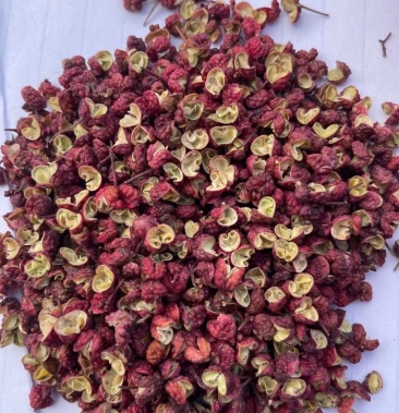 [麻椒批发]甘肃武都红麻椒:贡品花椒价格45.00元/斤 - 一亩田