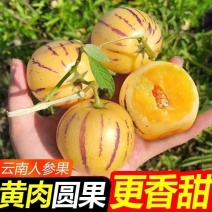 云南石林人参果个大多汁香甜对接市场社区团购一件代发
