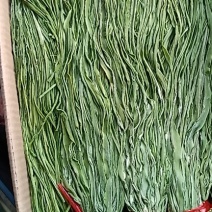 干贡菜