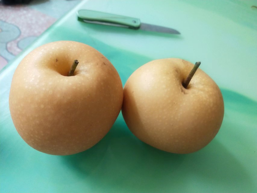 秋月梨特写