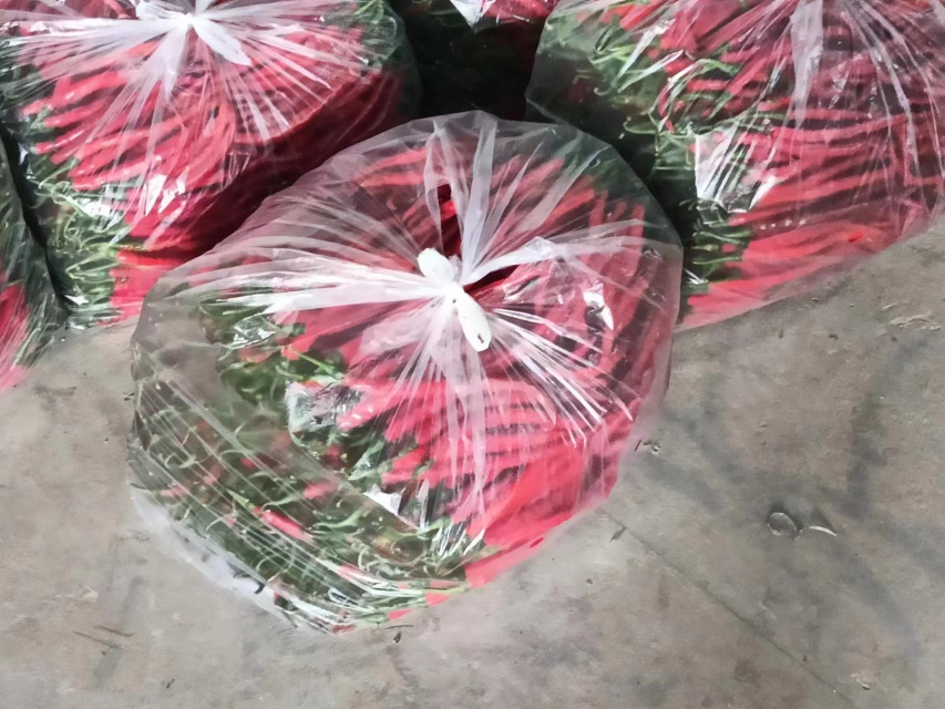 线椒与美人椒市场零售对比图